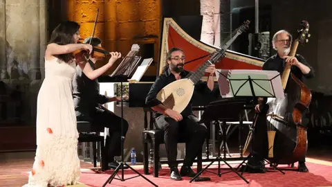 FEMAP a la Seu
