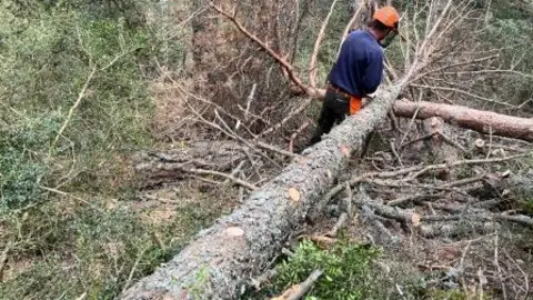 Acci&oacute; Clim&agrave;tica Soriguera