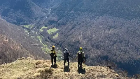 Controlat foc Canejan