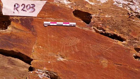 Gravats de Saur&iacute; UAB_CSIC 1