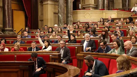 Parlament aran&egrave;s ensenyament