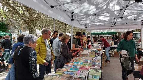 Sant Jordi 2023 1