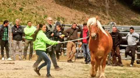 1a Fira Primavera Llavors&iacute;
