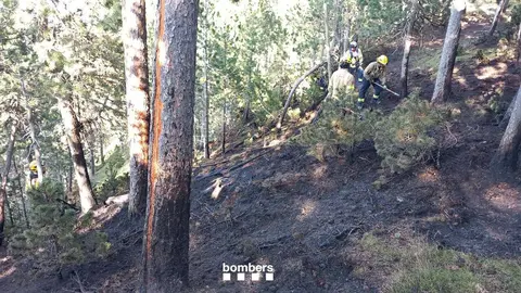 Incendi Trejuvell 2