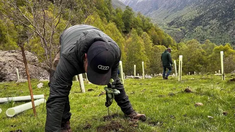 Plantaci&oacute; fruiters Pallars Sobir&agrave; 1