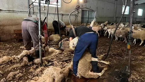 Xolladors Llessui Marta Lluvich 1