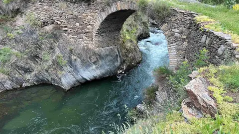 Noguera Pallaresa Alt &Agrave;neu