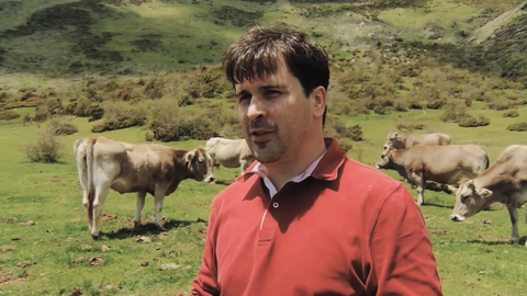 Ecol&ograve;gica dels Pirineus
