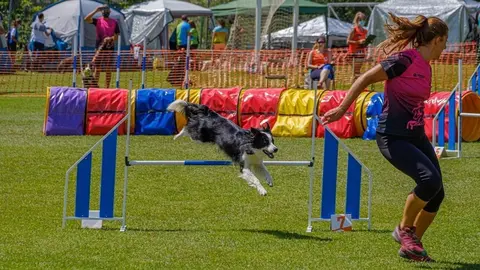 Rialp-Summer-Agility