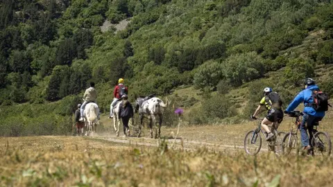 Aran Camins compartits