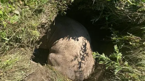 Vaca Civ&iacute;s Bombers 2