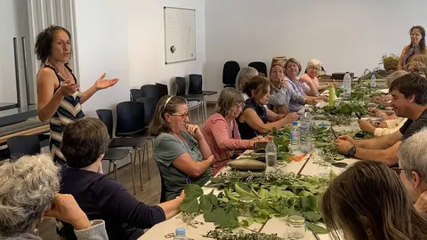 Ll&iacute;via Taller de trementinaire