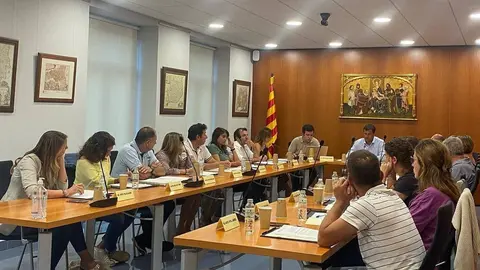 Consell Comarcal de la Cerdanya Ple cartip&agrave;s