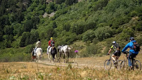 VAL D'ARAN ENQUESTA CAMINS