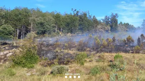 Incendi Sant Esteve de la Sarga
