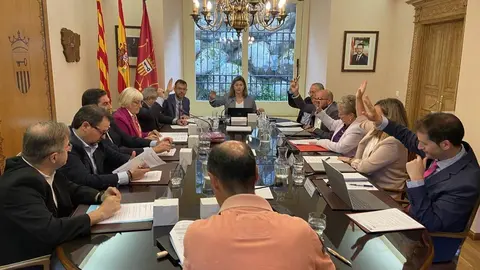 Conselh Generau d'Aran aprovaci&oacute; reforma Espitau
