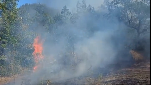 Incendi vegetaci&oacute; Montell&agrave; Martinet