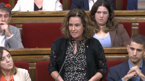 S&iacute;lvia Romero ple del parlament