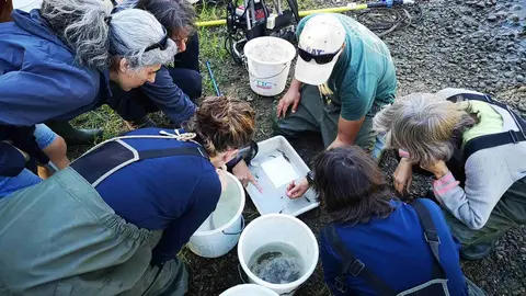 BioBlitz 1