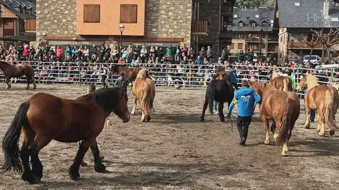 Fira de Santa Teresa d'Esterri 2023 1