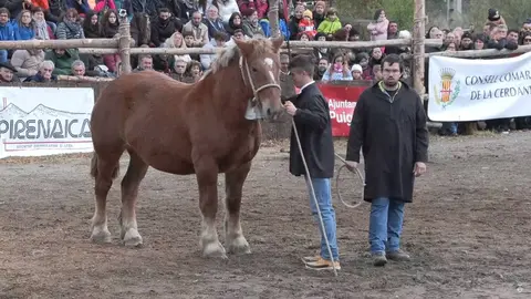 Fira Cavalls Puigcerd&agrave; 2023 1
