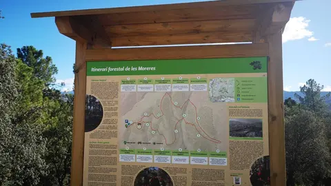 Itinerari forestal de les Moreres