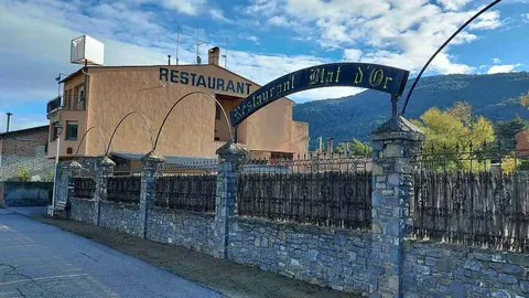 Blat d'Or el Pla de Sant Tirs 