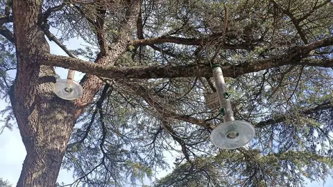 Menjadores i caixes a la Seu 1