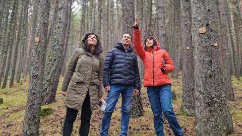 MARTELOSCOPI DE BEIXAL&Iacute;S com&uacute; la Massana