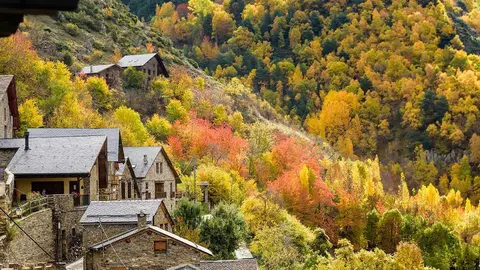 Festival de colors de tardor a la Coma de Burg Marc Garriga