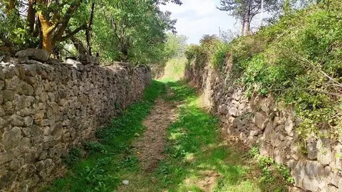 Cam&iacute; de Pedra Bellver