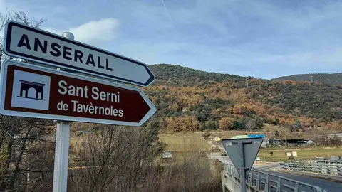 Anserall 1
