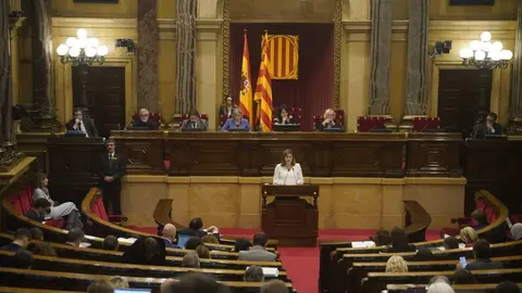 Verg&eacute;s compareixen&ccedil;a Parlament 1