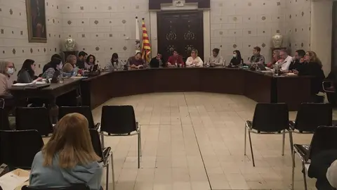 Ple  pressupostos la Seu