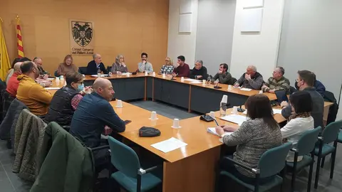 CCPJ Ple pressupostos 2024