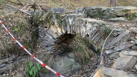 Pont del Carrasut Ll&iacute;via 1