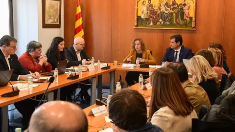 IDAPA Puigcerd&agrave; Consell Rector