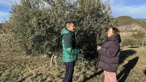 Oliveres Pallars Juss&agrave; 1