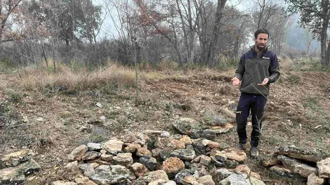 Albert Cereza conills de bosc 1