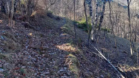 Cam&iacute; Bold&iacute;s Juss&agrave; i Bold&iacute;s Sobir&agrave; PNAP