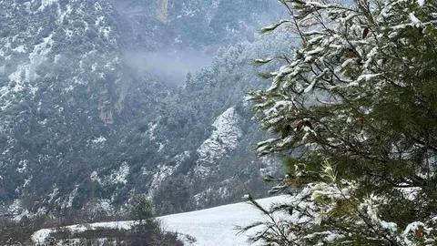 Coll de Narg&oacute; nevat 2