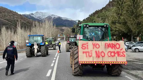 PAGESOS PONT DE SUERT