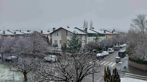 Nevada a la Seu