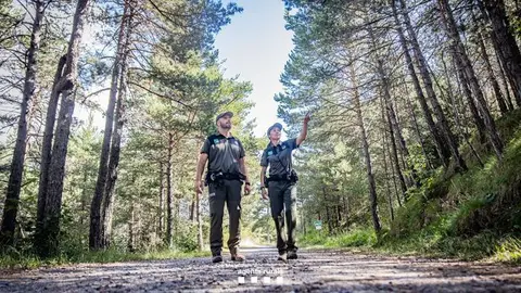 Agents Rurals bosc
