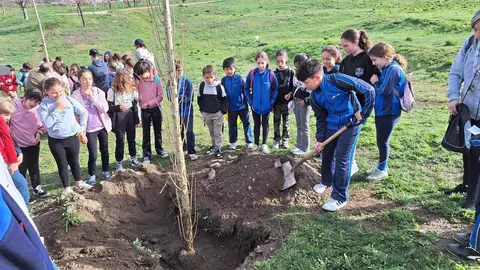Dia de l'Arbre escoles 2