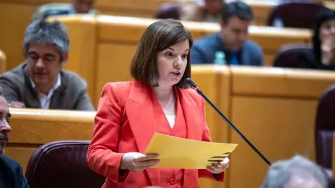 La senadora republicana, Sara Bailac durant una intervenci&oacute;