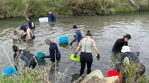 voluntariat ambiental