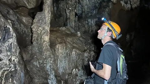 cova