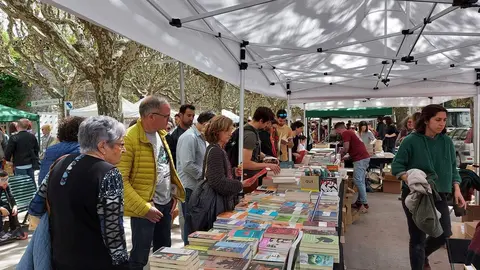 Sant Jordi 2023 1