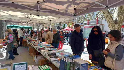 Sant Jordi 2024 la Seu 3